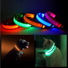 LED PET Safety Collar - Paw & Planet