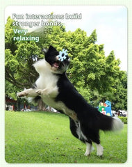 Pet Interactive Flywheel - Paw & Planet