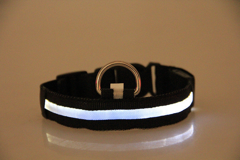 LED Dog Collar