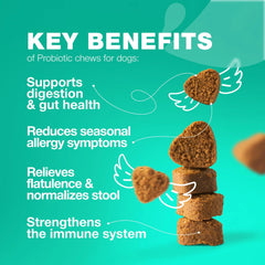 Probiotics For Dogs - Paw & Planet