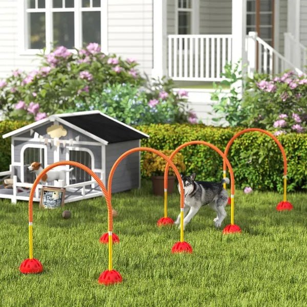 4 Piece Dog Agility Course Backyard Set , Carry Bag - Paw & Planet