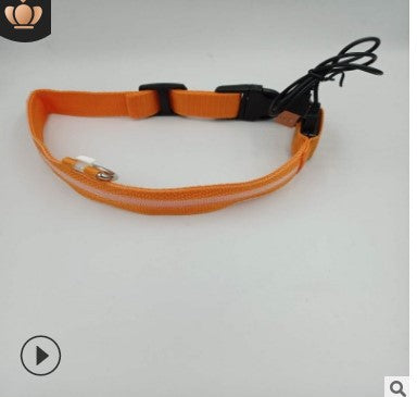 LED Dog Collar