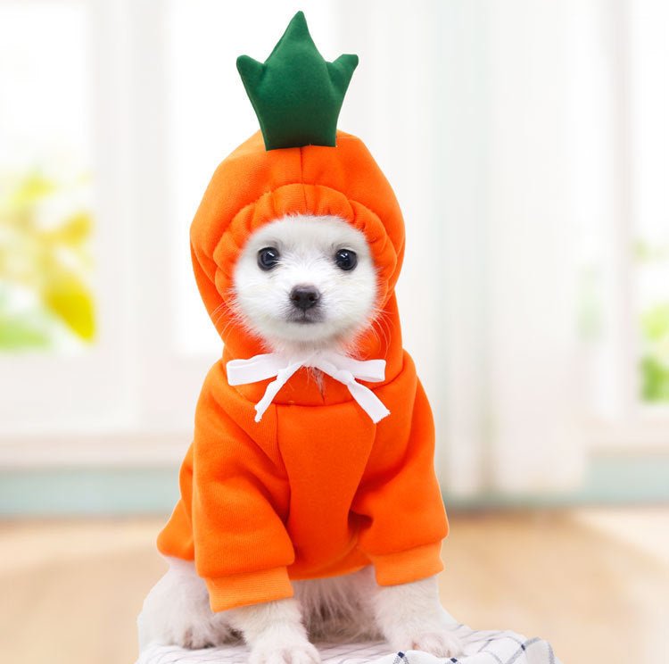 Cute Fruit Dog Clothes - Paw & Planet