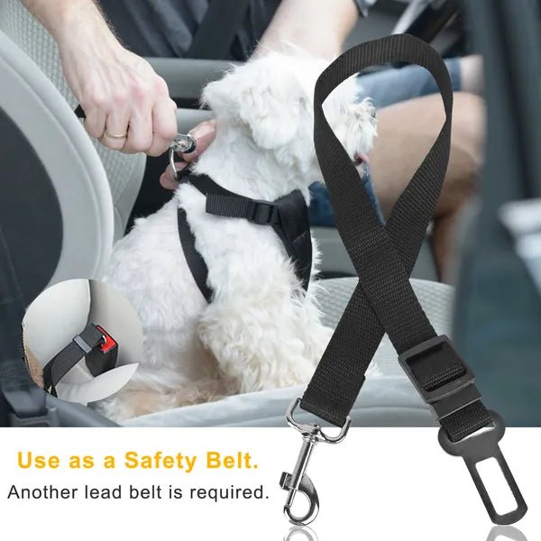 2Pcs Pet Dog Seat Belt Leash - Paw & Planet