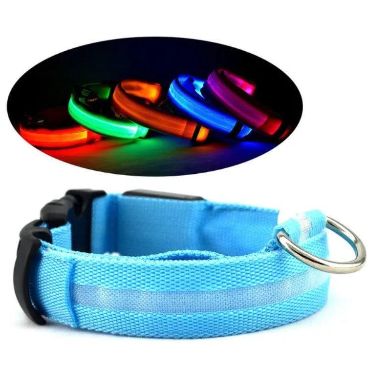 LED PET Safety Collar - Paw & Planet