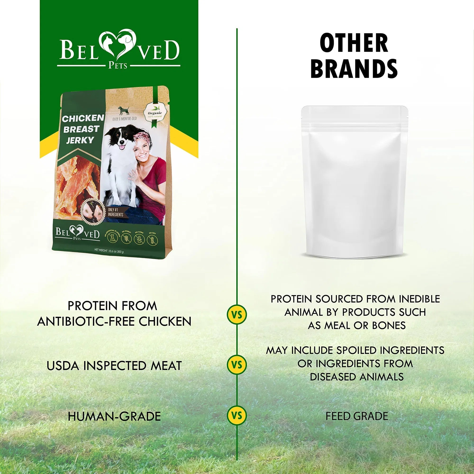 Chicken Jerky Dog Treats - Paw & Planet