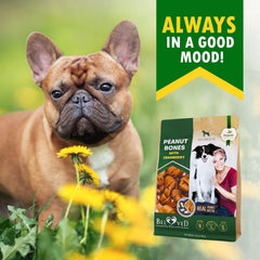 Dog Peanut Butter Bones With Cranberry Rawhide - Paw & Planet