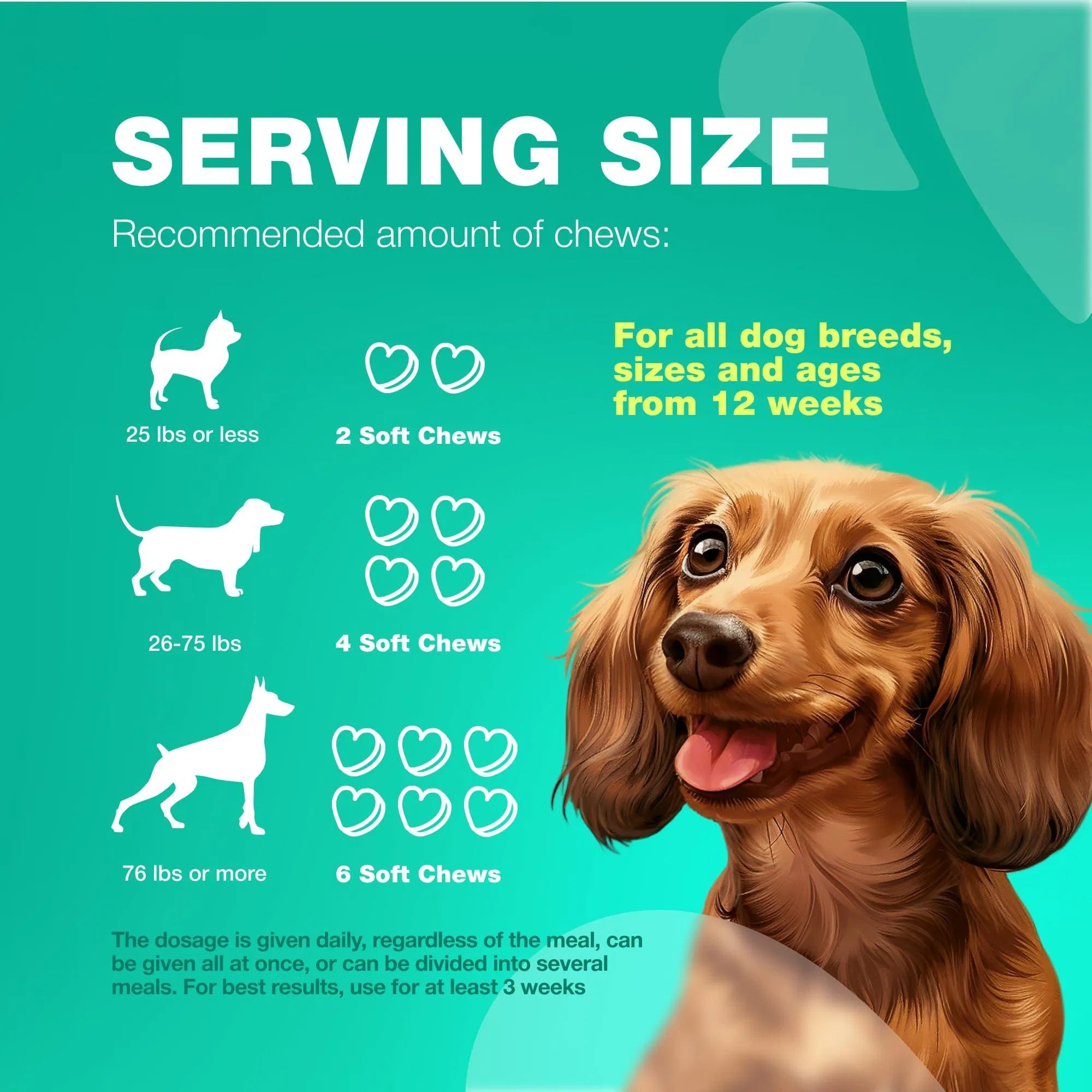Probiotics For Dogs - Paw & Planet