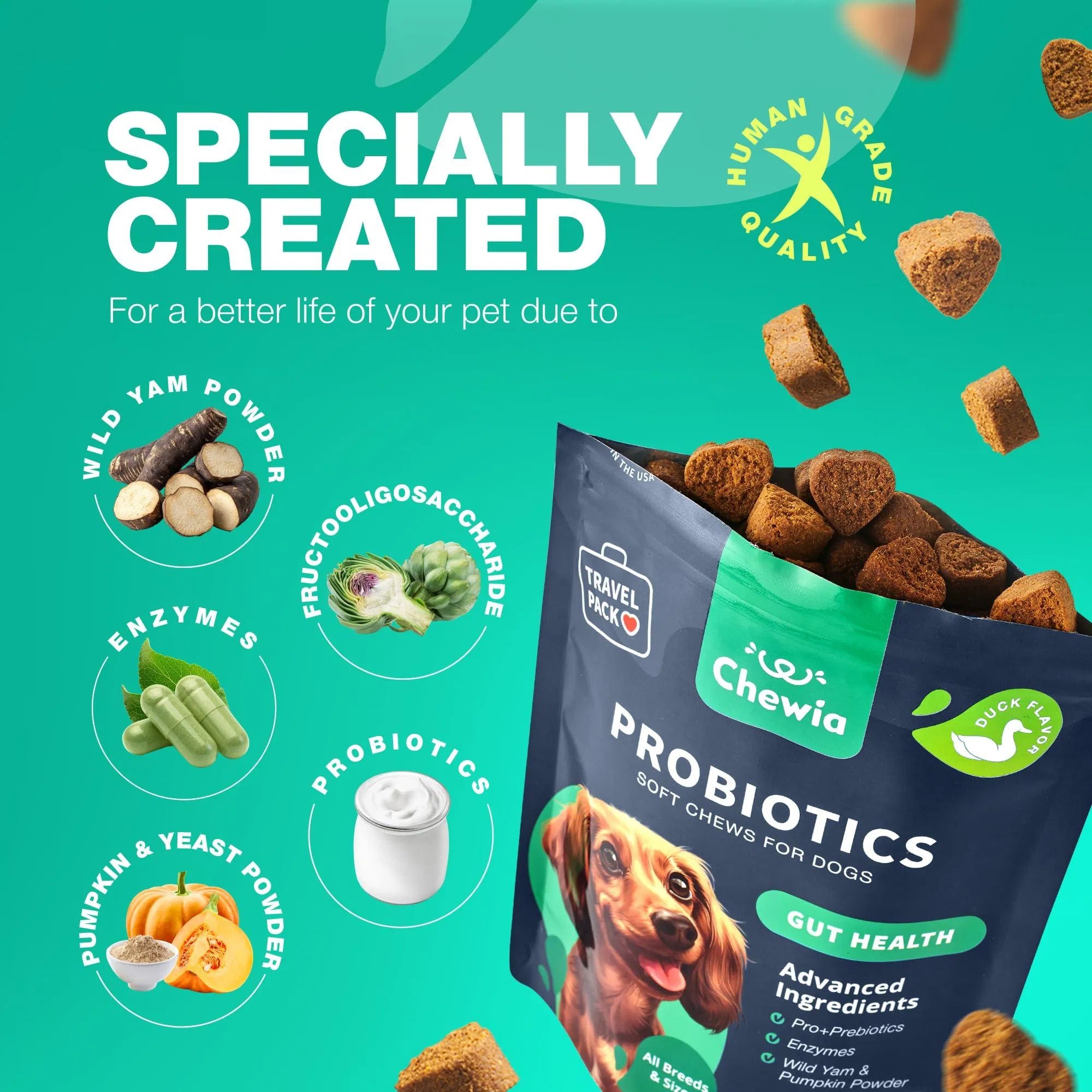 Probiotics For Dogs - Paw & Planet