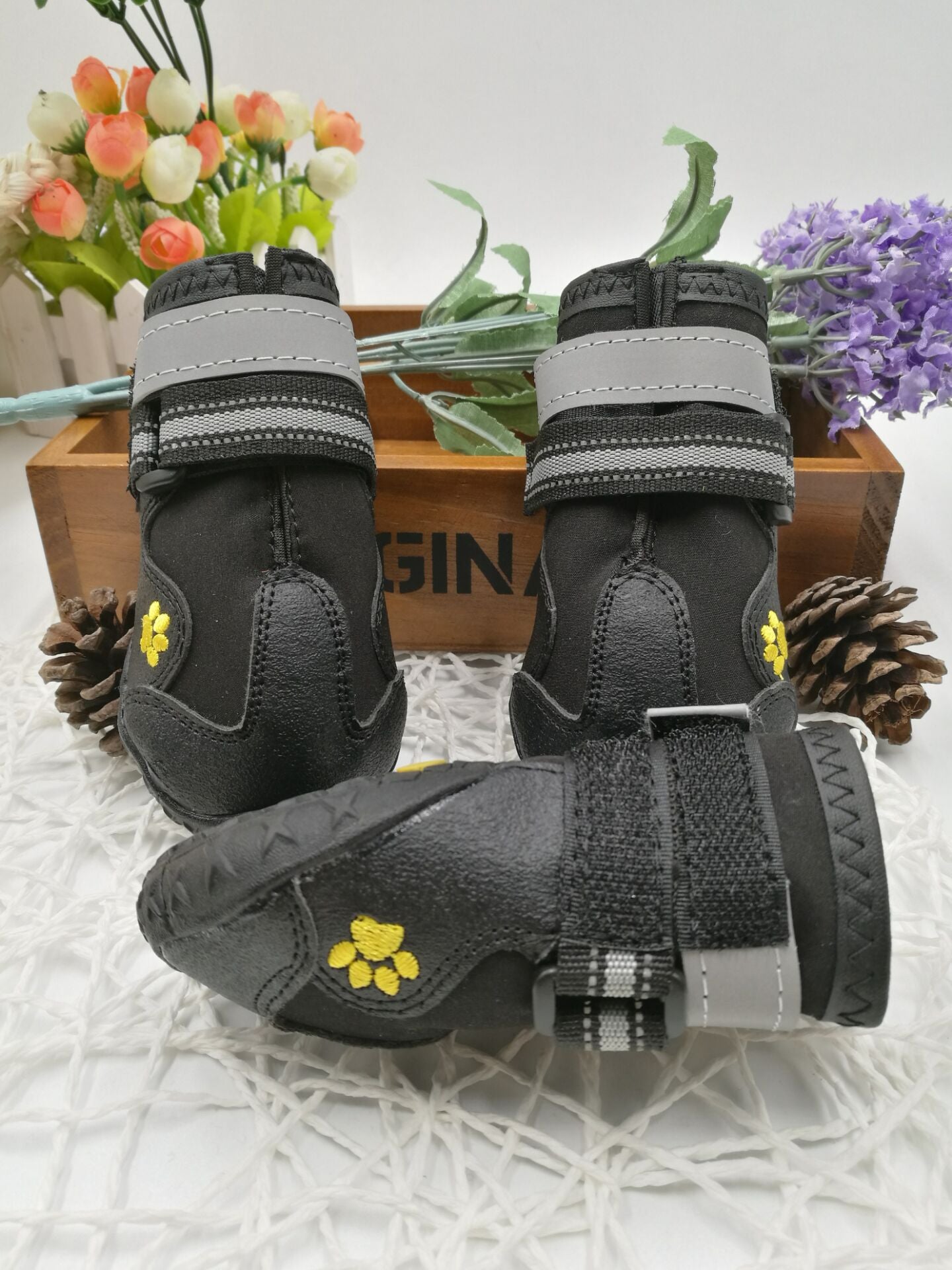 Pet shoes wear dog shoes - Paw & Planet