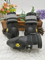 Pet shoes wear dog shoes - Paw & Planet