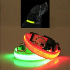 LED PET Safety Collar - Paw & Planet