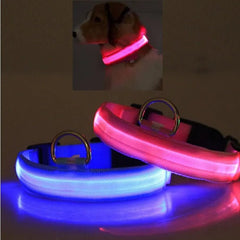LED PET Safety Collar - Paw & Planet