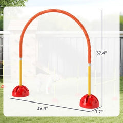 4 Piece Dog Agility Course Backyard Set , Carry Bag - Paw & Planet