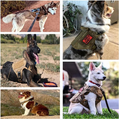 Pet Harness Luxury Dog Leash Set Chest Dog - Paw & Planet