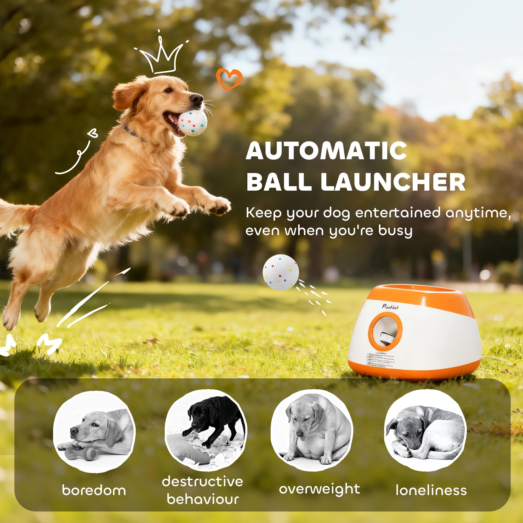 Automatic Dog Ball Launcher - Paw & Planet