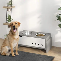 Elevated Dog Bowls - Paw & Planet