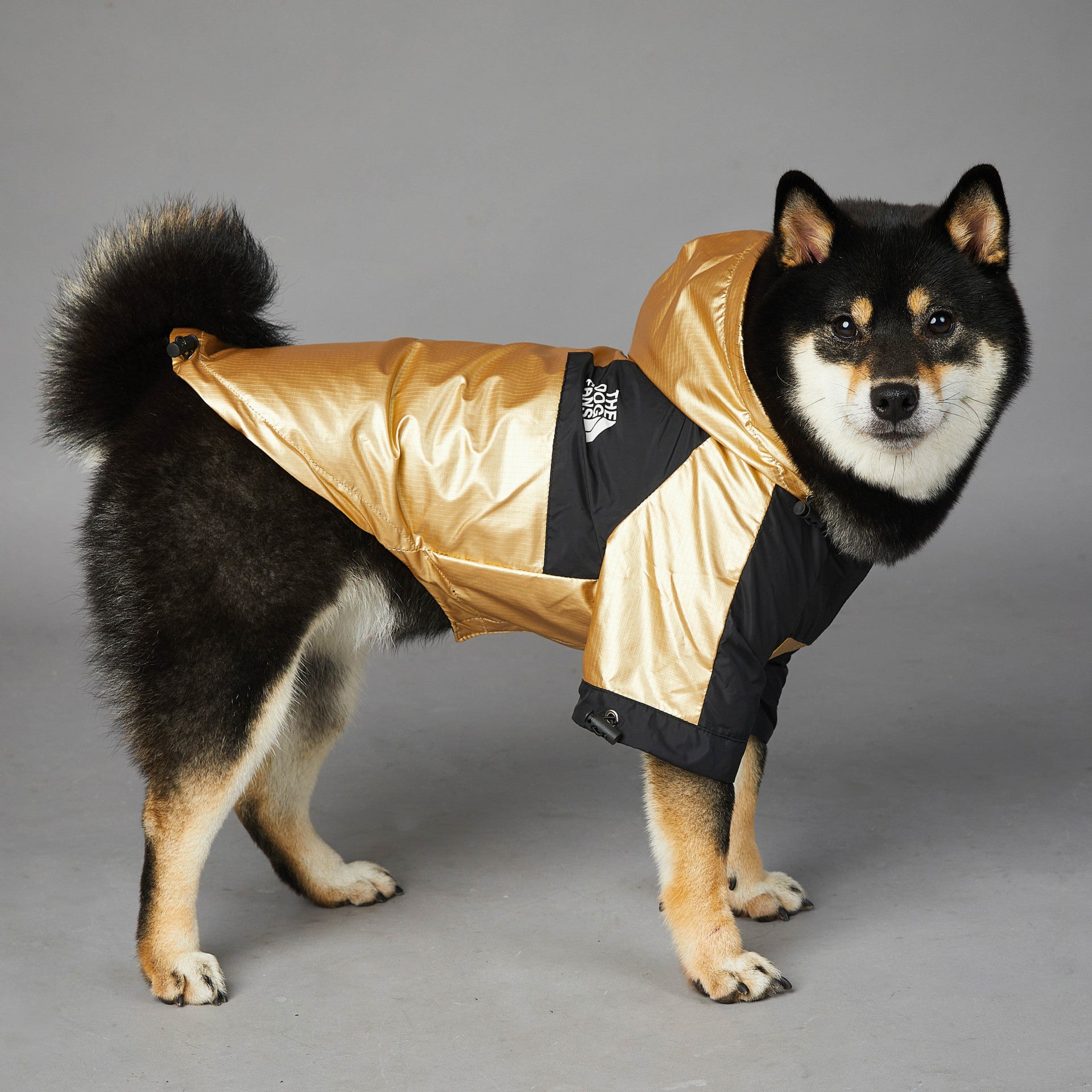 Large Dog Raincoat Pet Jacket - Paw & Planet