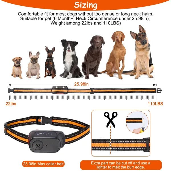 984FT Dog Training Collar - Paw & Planet