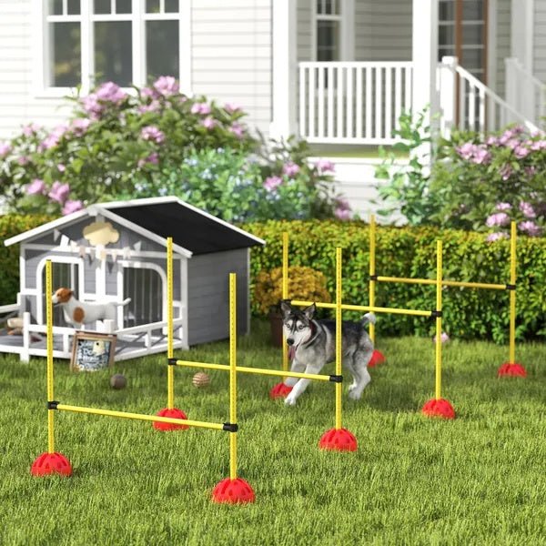 4 Piece Dog Agility Course Backyard Set , Carry Bag - Paw & Planet
