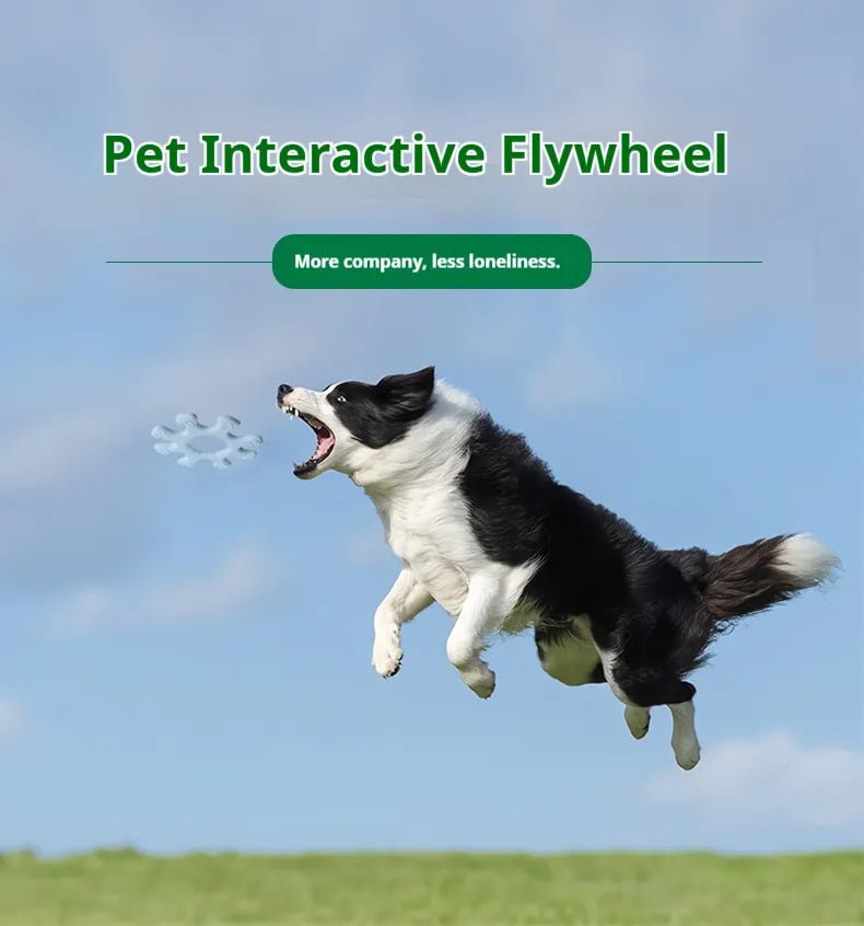 Pet Interactive Flywheel - Paw & Planet