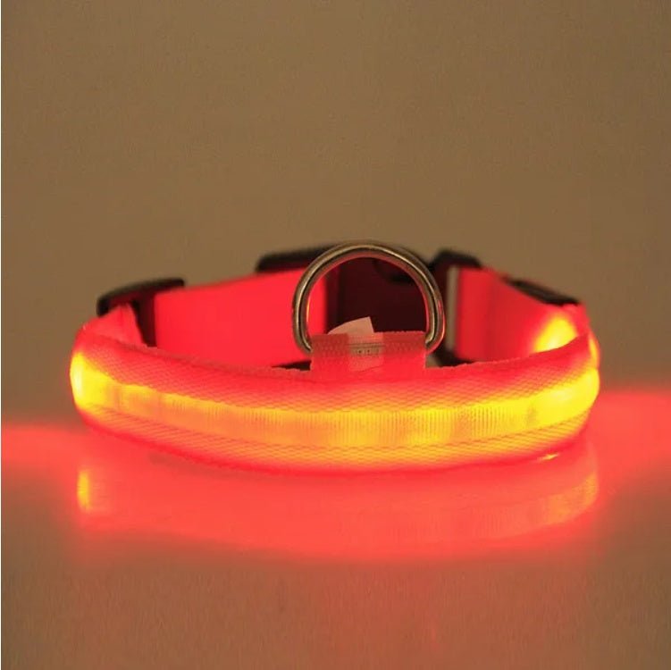 LED PET Safety Collar - Paw & Planet