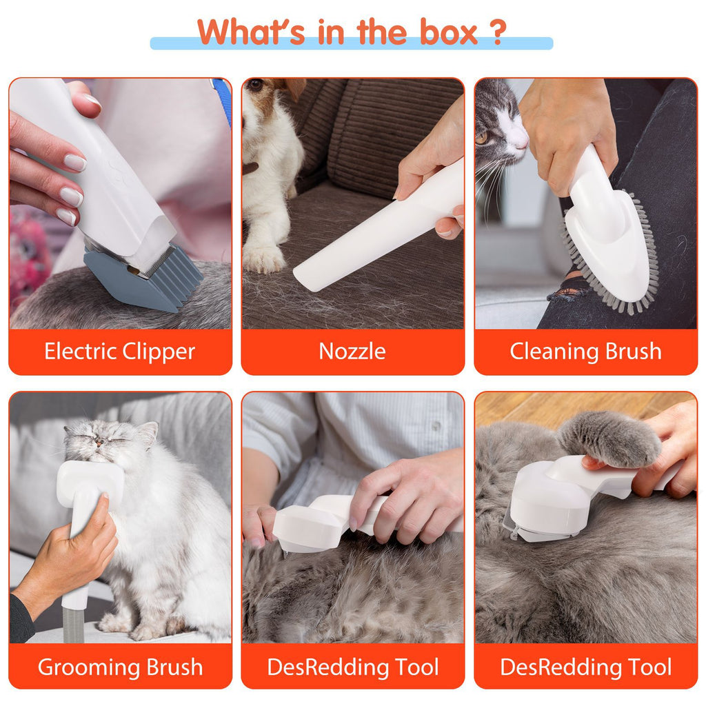 Pet multi-functional hairbrush