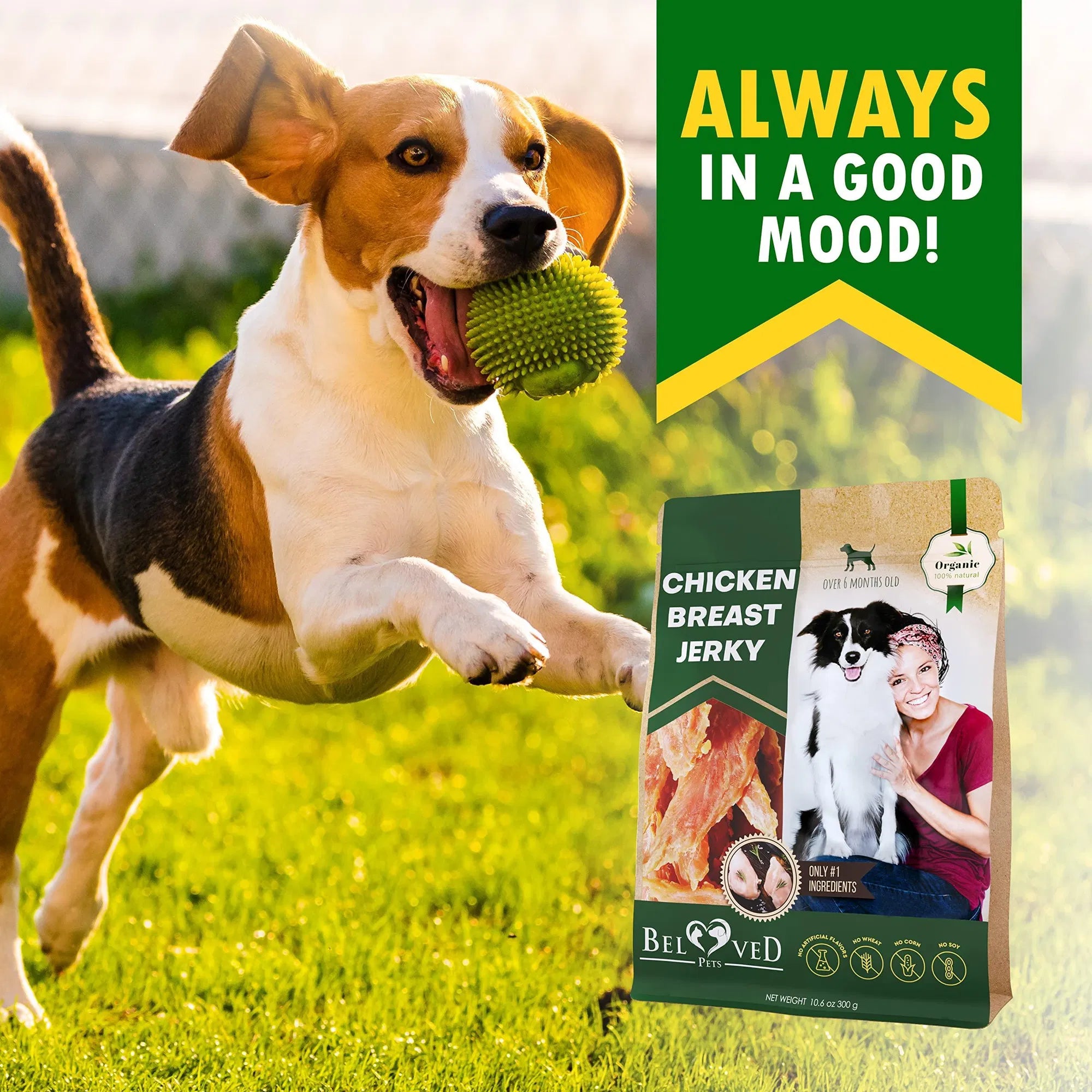 Chicken Jerky Dog Treats - Paw & Planet