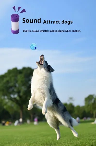 Pet Interactive Sound Ball - Paw & Planet