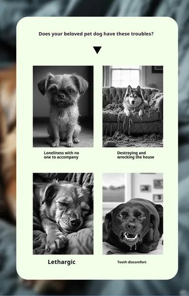 Pet Interactive Sound Ball - Paw & Planet