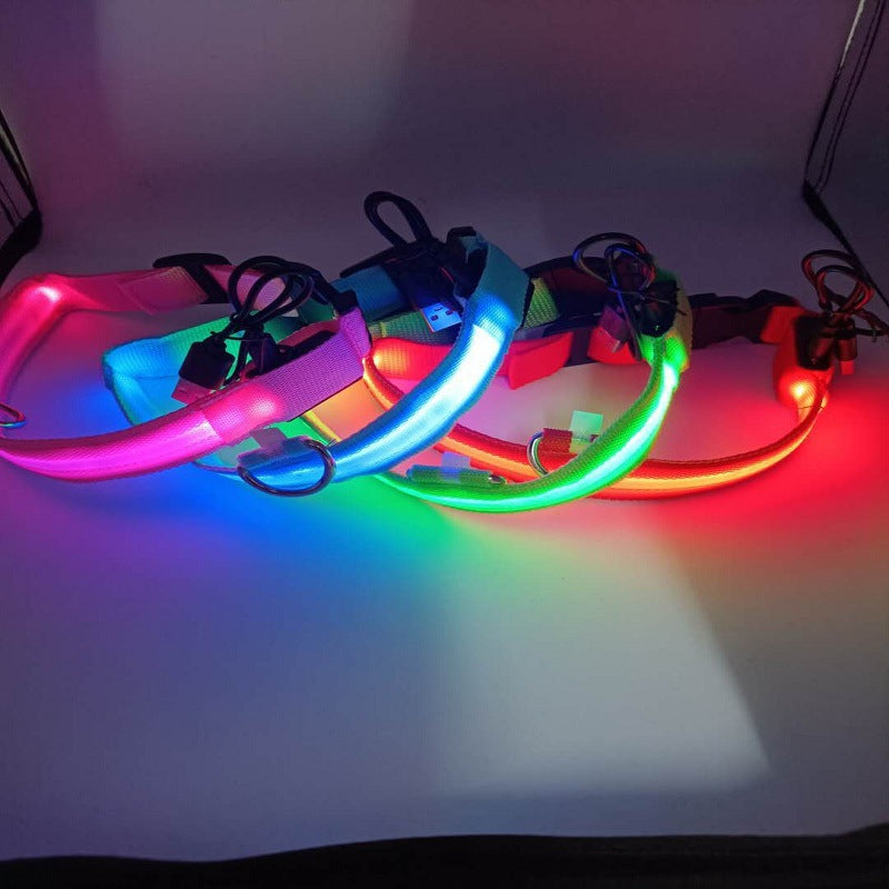 LED Dog Collar