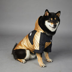 Large Dog Raincoat Pet Jacket - Paw & Planet