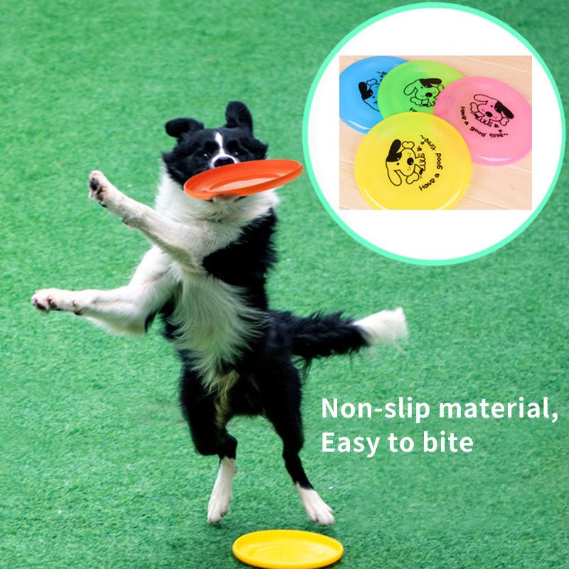 Silicone Flying Saucer Funny Toy - Paw & Planet
