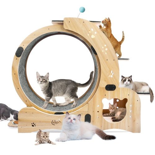 Cat Wheel 6-in-1 Cat Fitness Wheel - Paw & Planet
