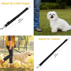 2Pcs Pet Dog Seat Belt Leash - Paw & Planet