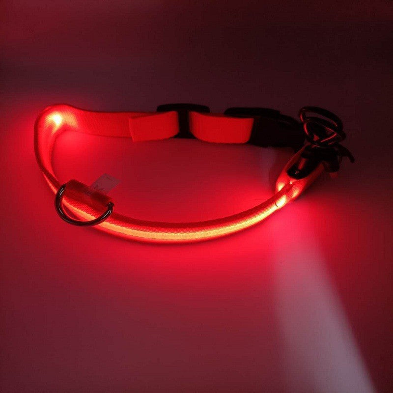 LED Dog Collar