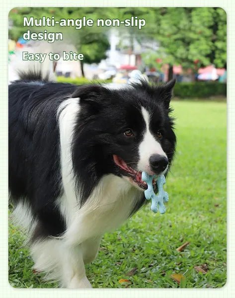 Pet Interactive Flywheel - Paw & Planet