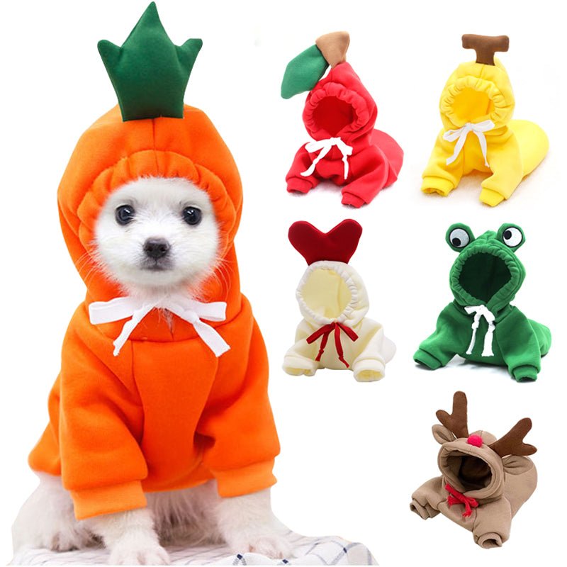 Cute Fruit Dog Clothes - Paw & Planet