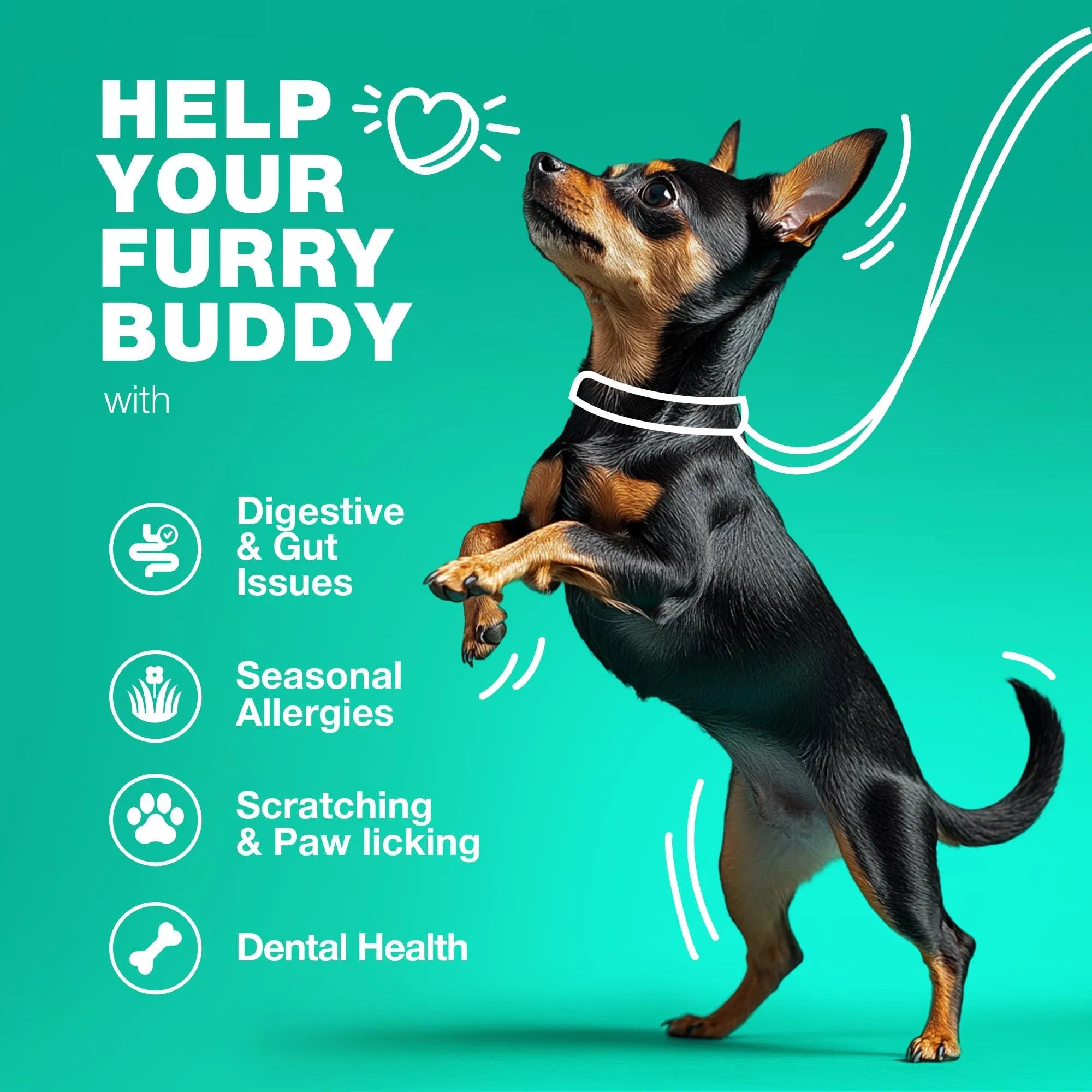 Probiotics For Dogs - Paw & Planet