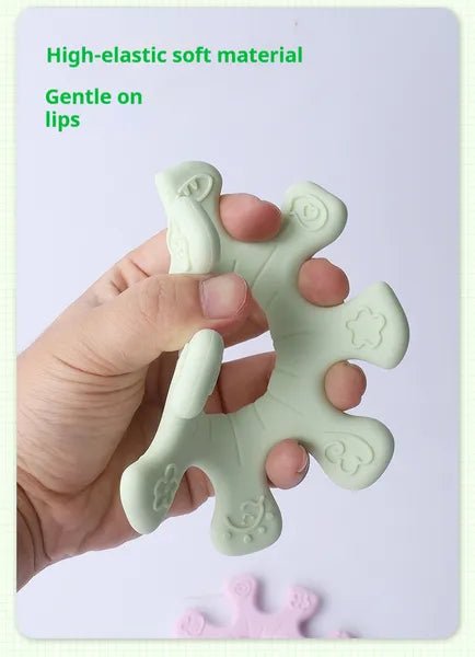 Pet Interactive Flywheel - Paw & Planet