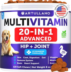 Dog Multivitamin Chewable With Glucosamine 20 In 1 - Paw & Planet