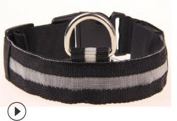 LED Dog Collar
