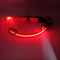 LED Dog Collar