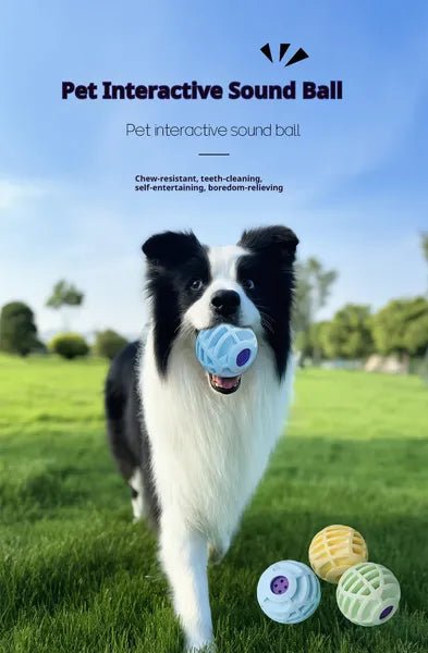 Pet Interactive Sound Ball - Paw & Planet