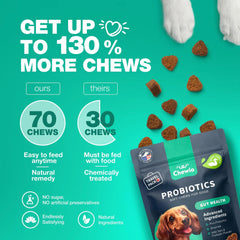 Probiotics For Dogs - Paw & Planet