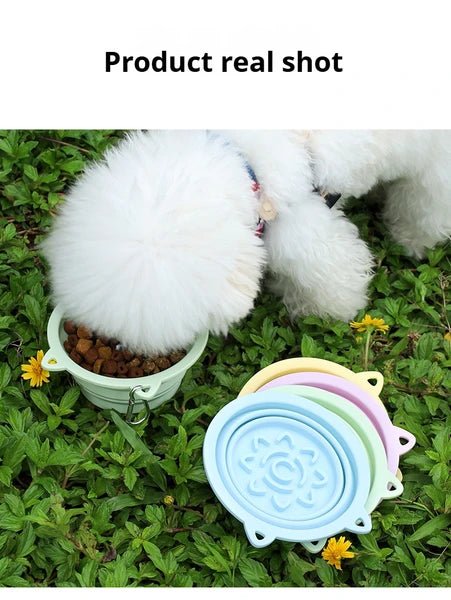 3-in-1 Pet Travel Collapsible Bowl Foldable Slow-Feeder With Strong Suction Cups  Portable Silicone Dog Bowl With Hook For Hanging On Collar/Backpack - Paw & Planet
