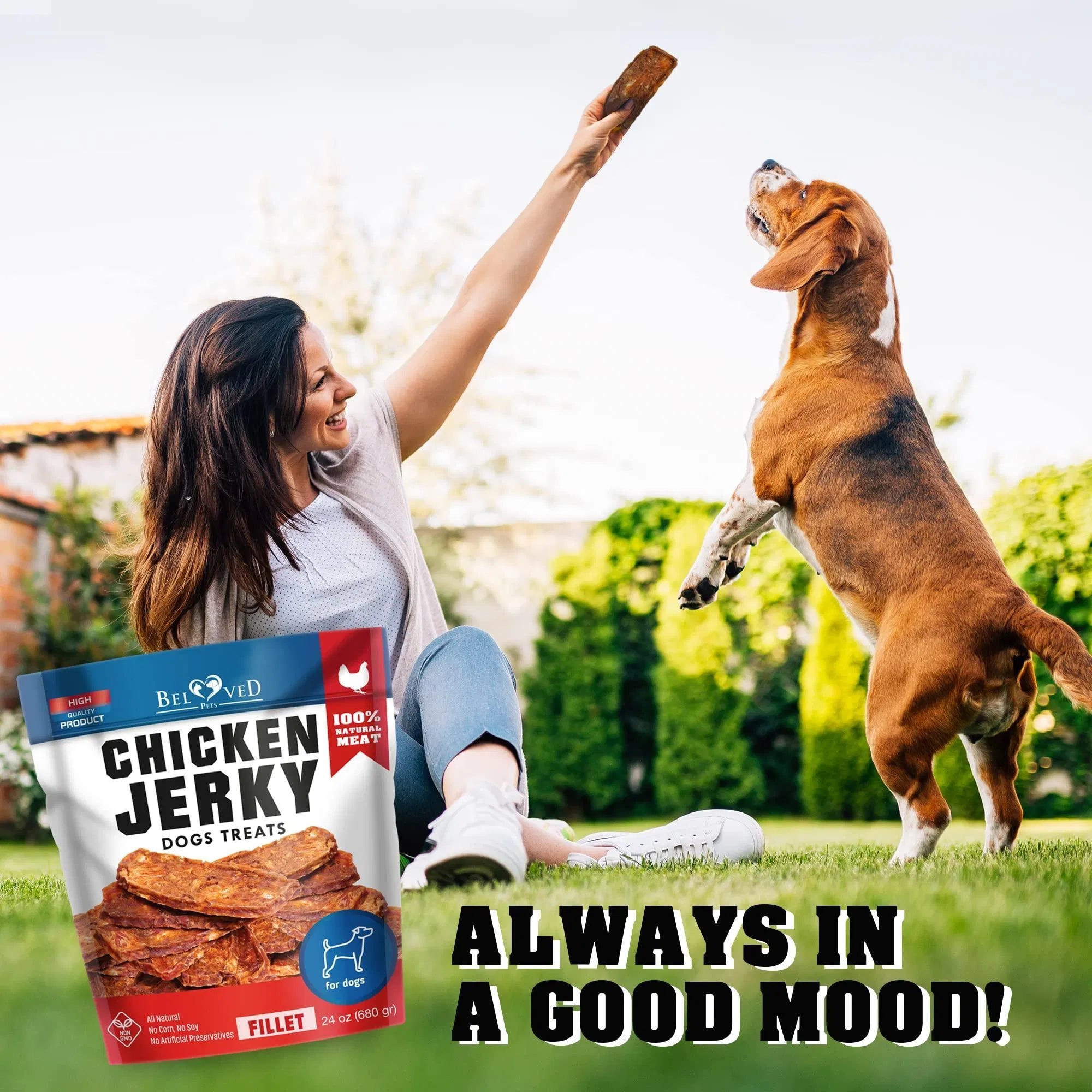 Chicken Jerky Dog Treats - Paw & Planet